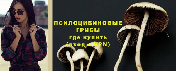 spice Балахна