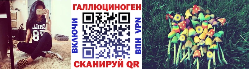 Галлюциногенные грибы Psilocybe  гидра вход  Кувандык 